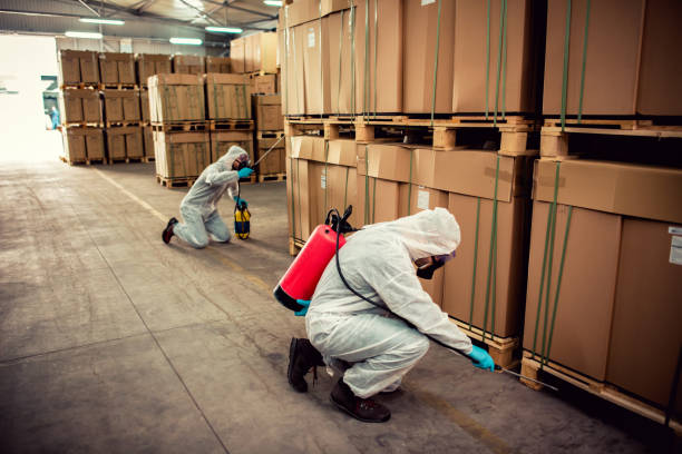 Best Mosquito Control Services  in Bogota, NJ