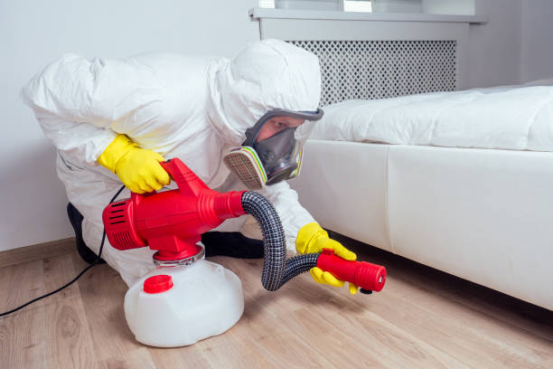 Best Termite Control Services  in Bogota, NJ