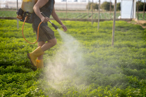 Best Pest Removal Services  in Bogota, NJ